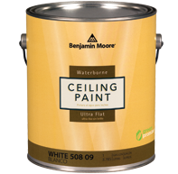Benjamin Moore Ceiling Paint
